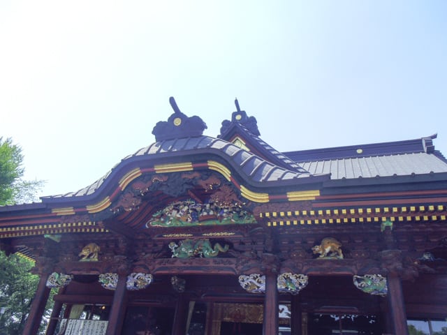 IMGP1584