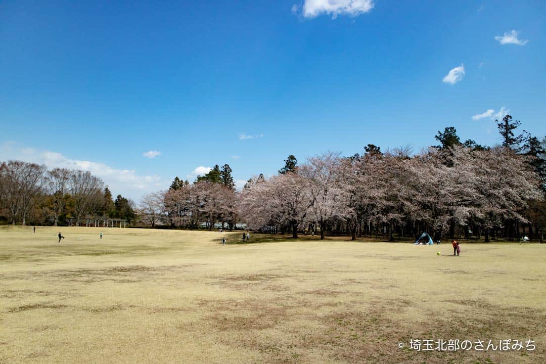 埼玉県農林公園 芝生広場やミニsl 食事が楽しめる 子連れで遊べるおでかけスポット 埼玉北部のさんぽみち