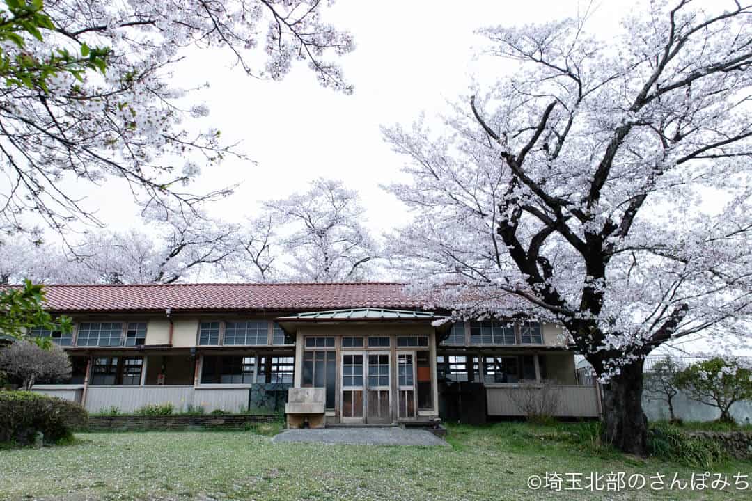 小川町下里分校の校舎と桜