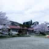 小川町下里分校の校舎と桜