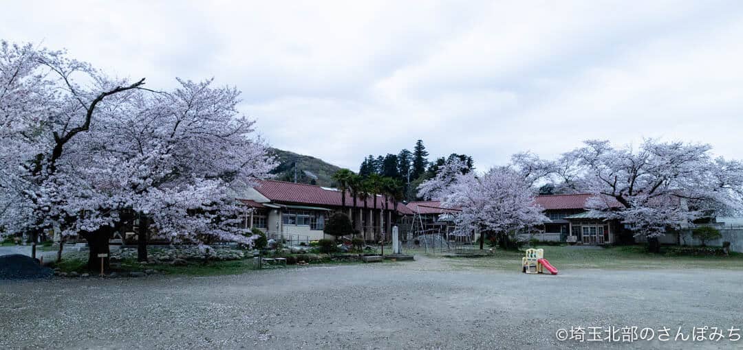 小川町下里分校の校舎と桜