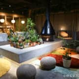 【熊谷・おふろcaféハレニワの湯】サウナや温泉が楽しめる！くつろぎの空間で極上のひとときを過ごしてきた