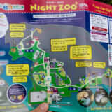 【東松山・埼玉県こども動物園】ナイトズー2022が開催！夜の動物たちを楽しもう