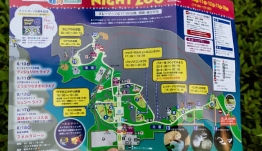 【東松山・埼玉県こども動物園】ナイトズー2022が開催！夜の動物たちを楽しもう
