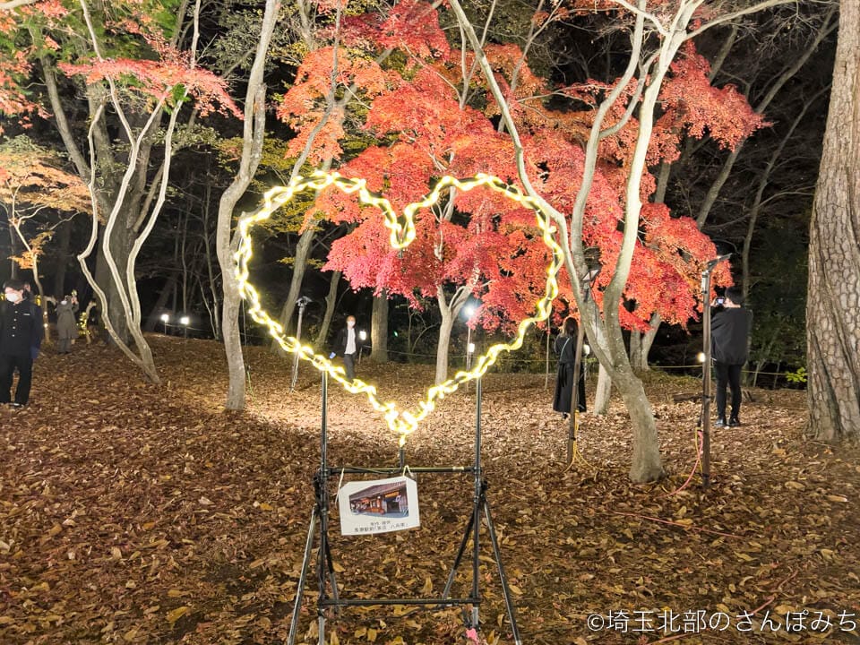 長瀞・月の石もみじ公園の紅葉ライトアップフォトスポット
