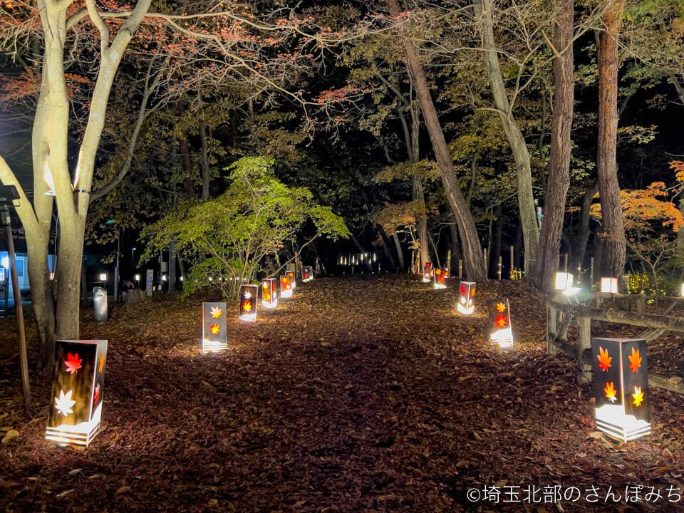 長瀞・月の石もみじ公園のライトアップ回廊