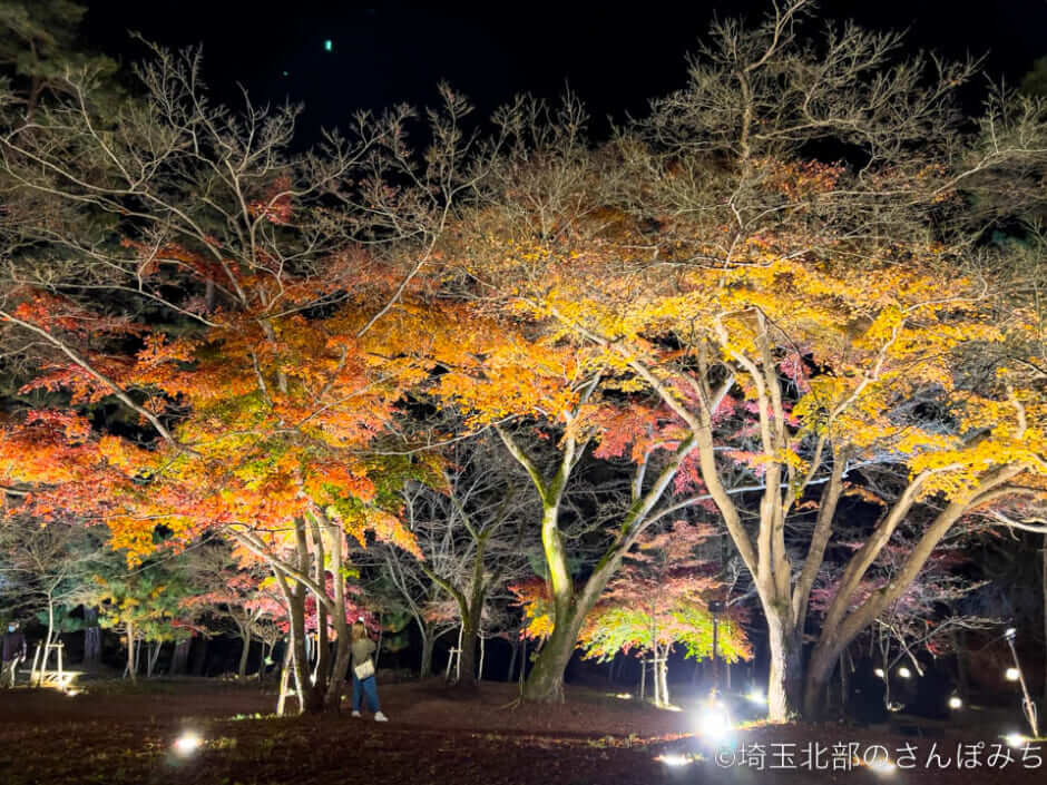 長瀞・月の石もみじ公園のライトアップ