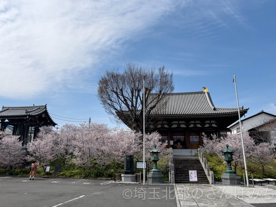 熊谷市桜の名所・石上寺の駐車場