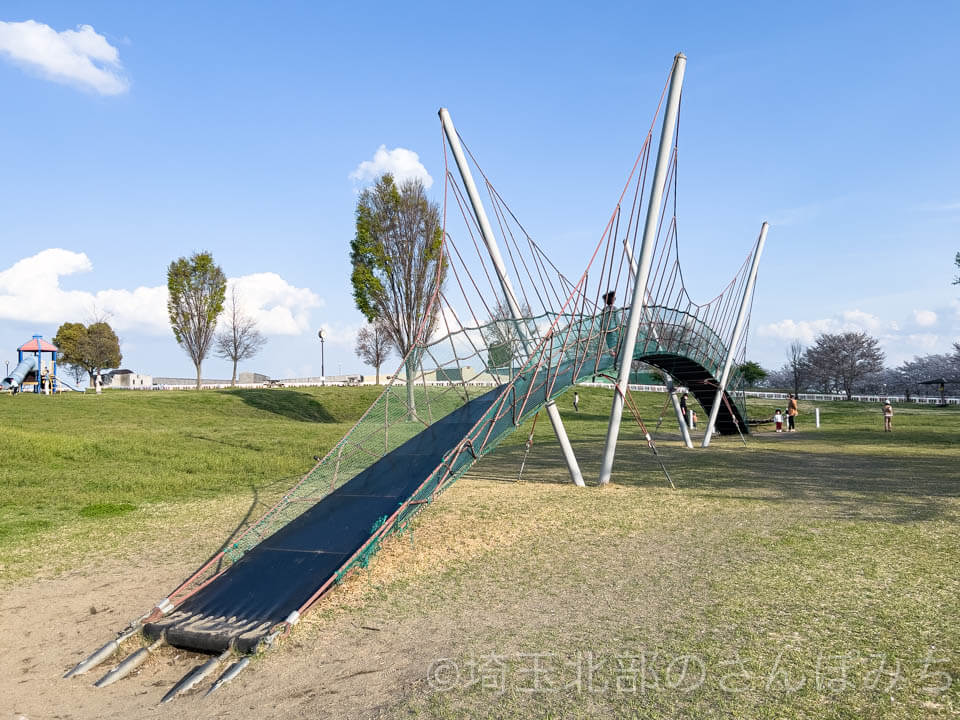 羽生スカイスポーツ公園遊具吊り橋