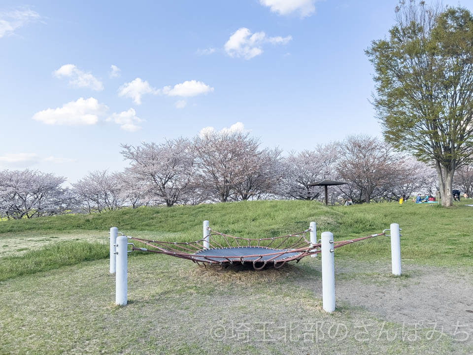 羽生スカイスポーツ公園遊具トランポリン