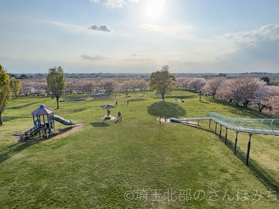 羽生スカイスポーツ公園遊具全体