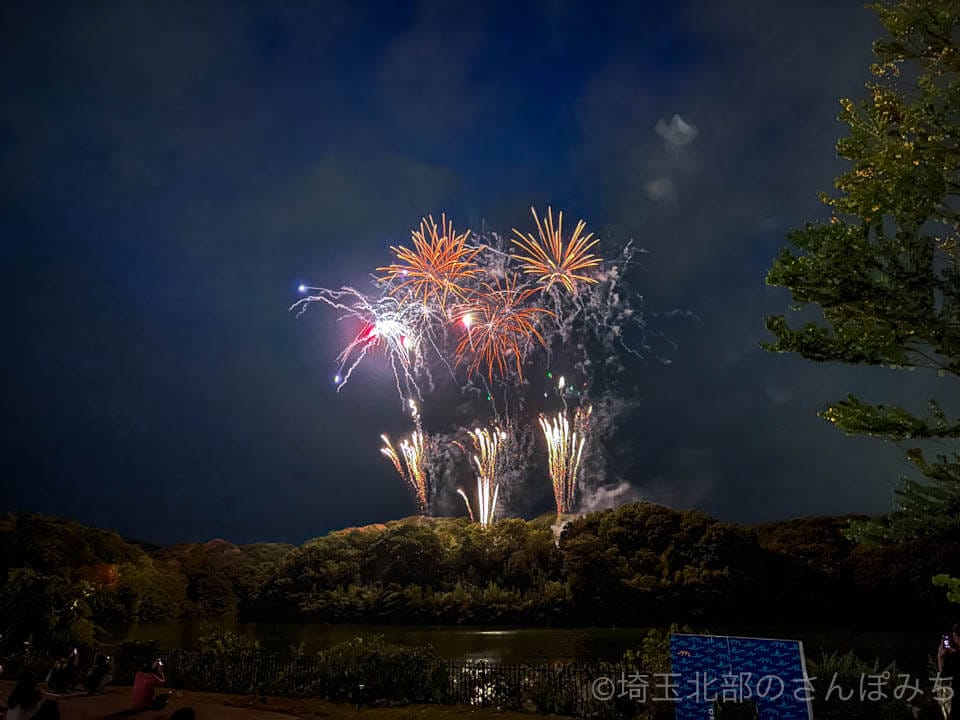 飯能「メッツァの花火2023」宮沢湖に上がる花火