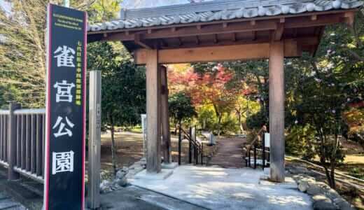 寄居町・紅葉の名所「雀宮公園」12月1日までライトアップ開催中