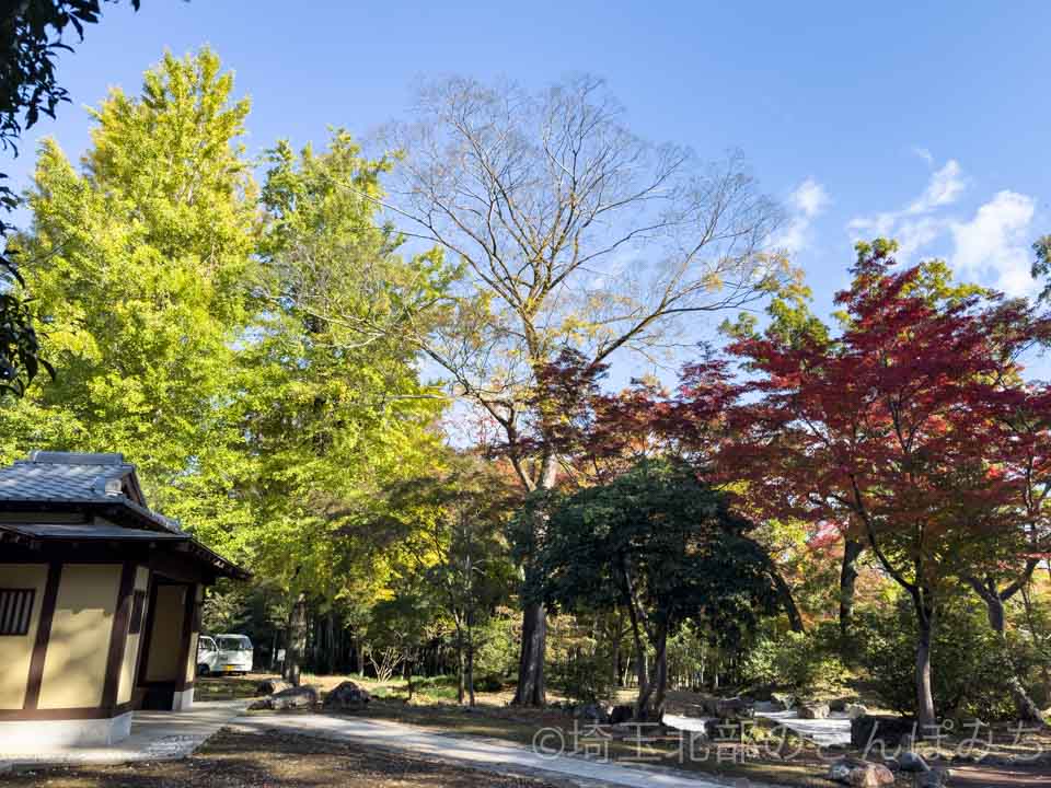 寄居町・雀宮公園の紅葉