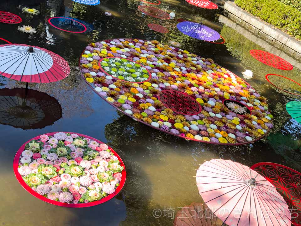 行田・忍城「大水面花」