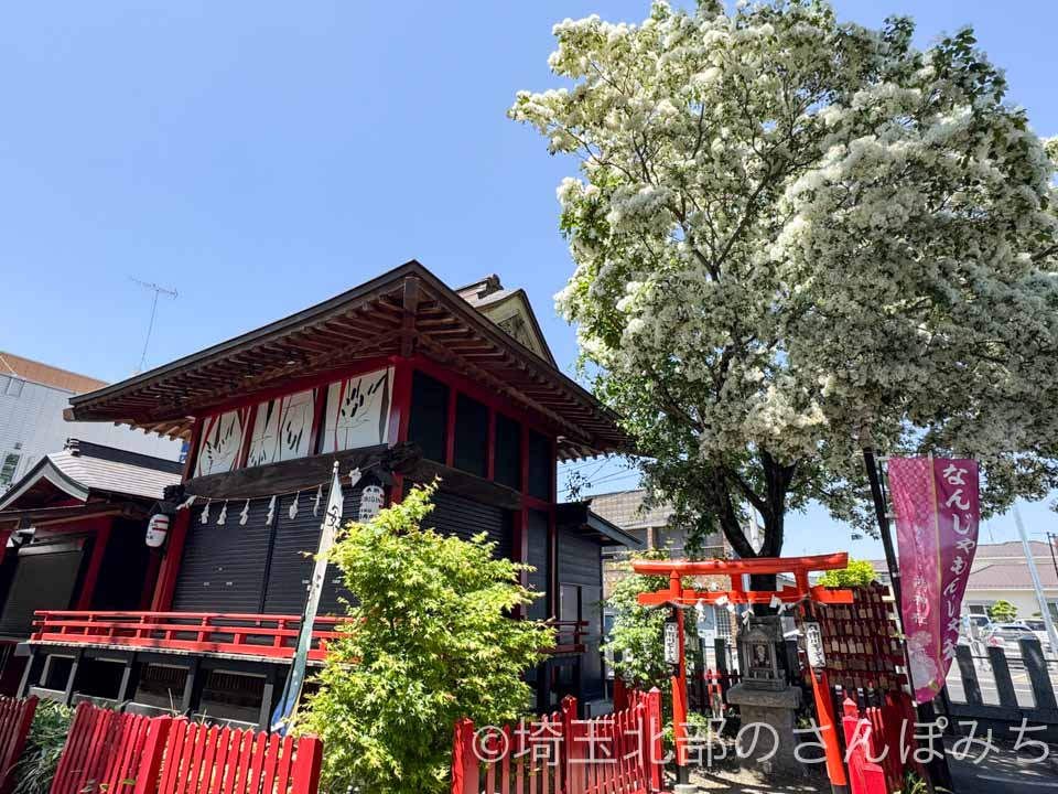 鴻神社「なんじゃもんじゃの木」