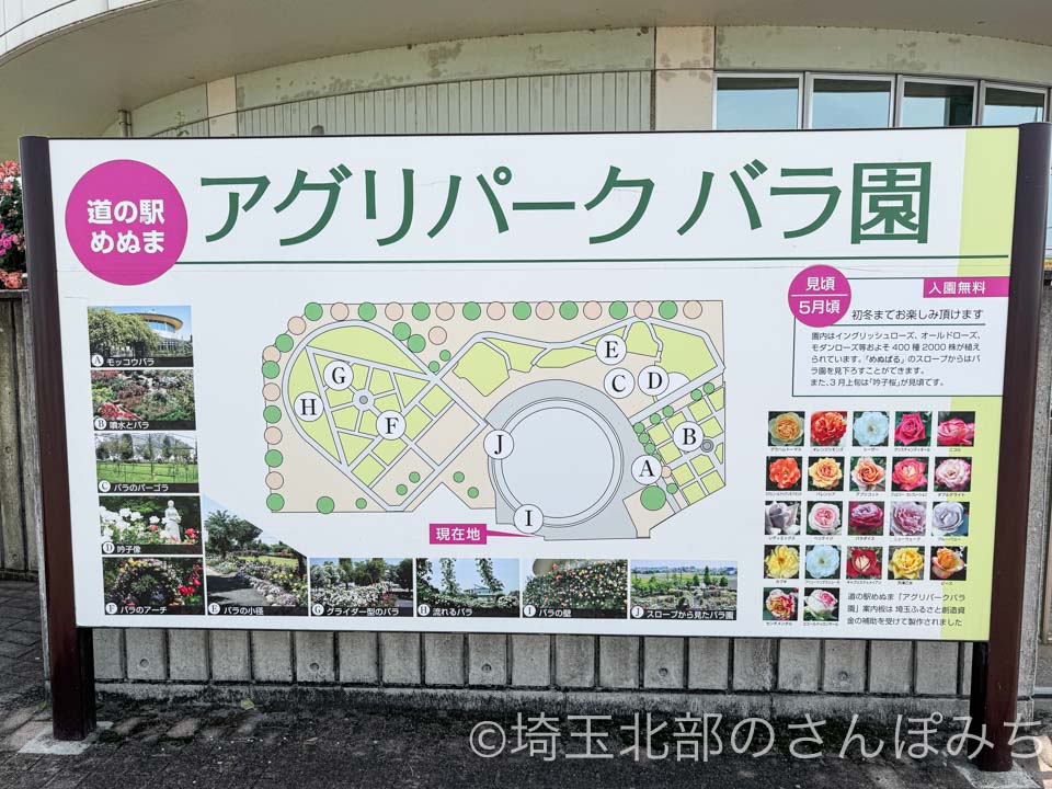 熊谷・道の駅めぬま バラ園