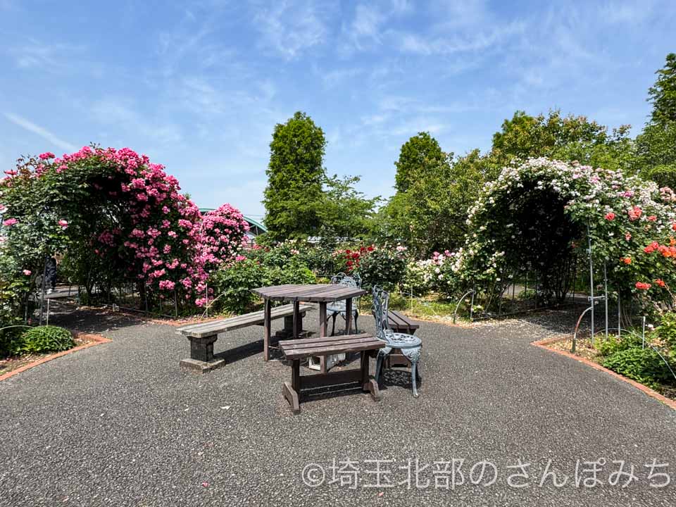 熊谷・道の駅めぬま バラ園のトンネル