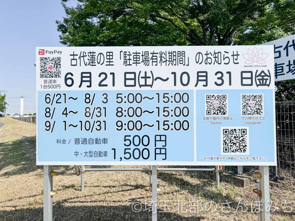 2025年行田・古代蓮の里「駐車場有料期間」