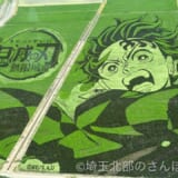 2025年行田・古代蓮の里「田んぼアート」『劇場版『鬼滅の刃』無限城編』竈門炭治郎