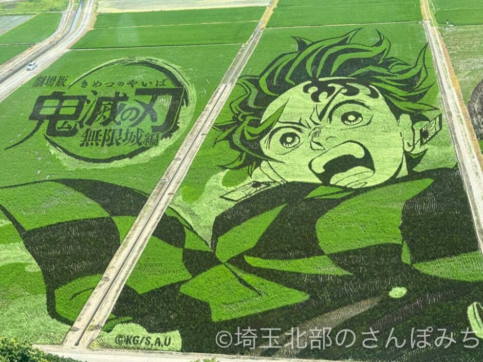 2025年行田・古代蓮の里「田んぼアート」『劇場版『鬼滅の刃』無限城編』竈門炭治郎