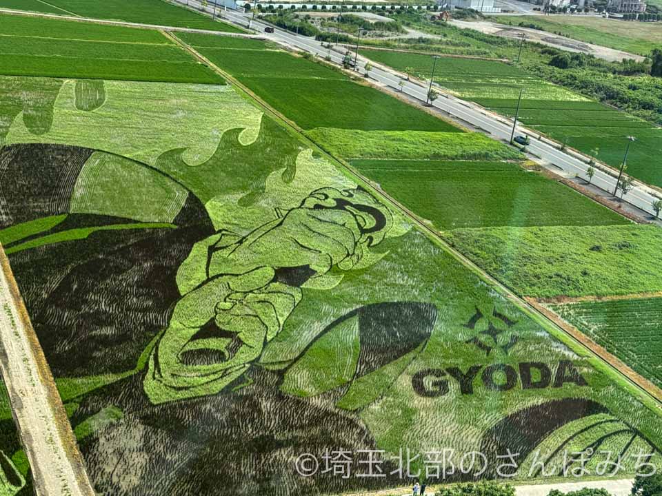 2025年行田・古代蓮の里「田んぼアート」『劇場版『鬼滅の刃』無限城編』GYODAマーク