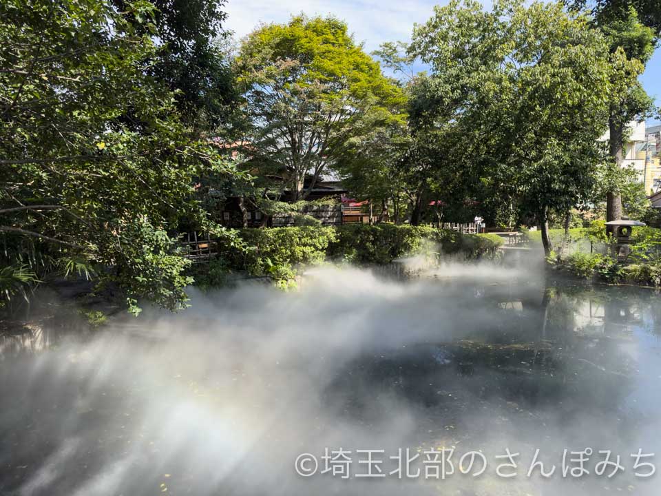 熊谷市・星溪園ガーデンカフェ雲海(池を挟んで撮影)