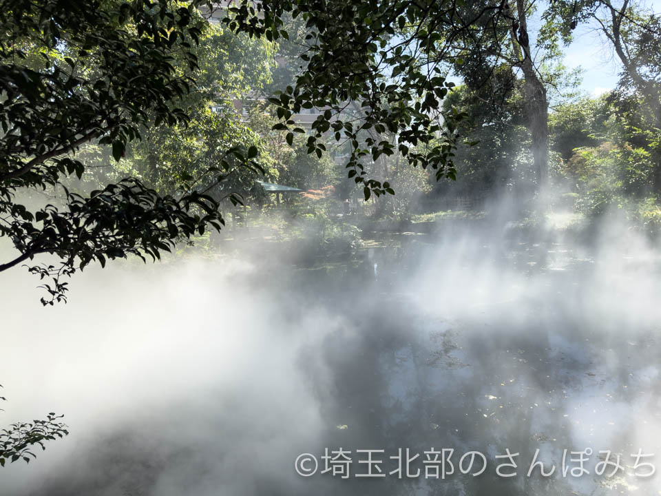 熊谷市・星溪園ガーデンカフェ雲海