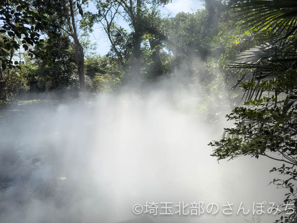 熊谷市・星溪園ガーデンカフェ雲海(神秘的な様子)