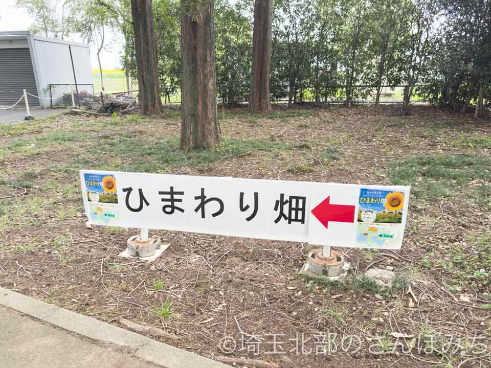 羽生水郷公園 ひまわり畑看板